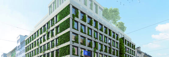 Bild TIROLER errichtet erstes Bürogebäude aus Holz im Zentrum Innsbrucks