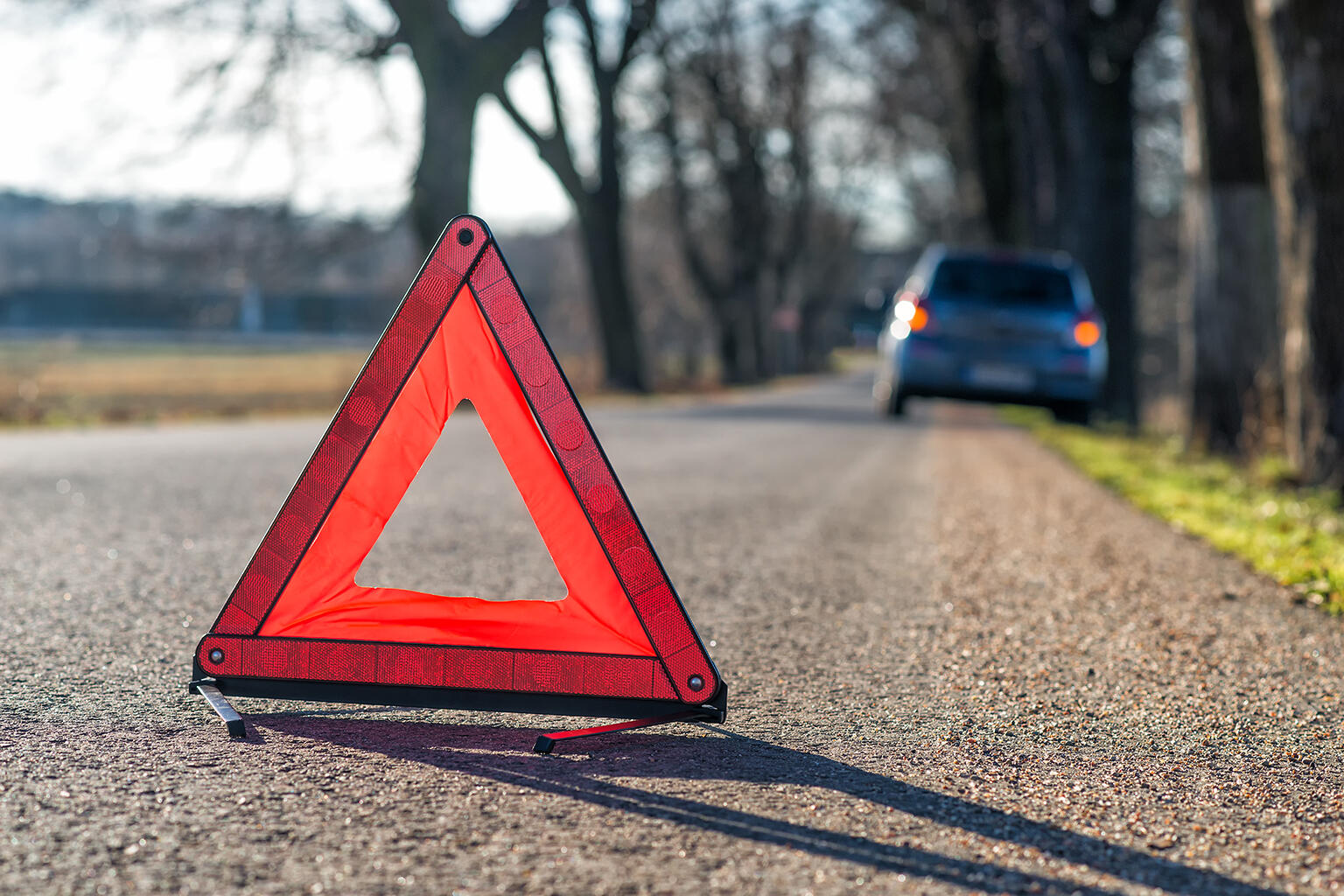 Alle 7 Stunden ein Wildunfall in Tirol – Warnschilder werden dennoch oft ignoriert